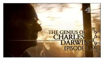 charly.gif